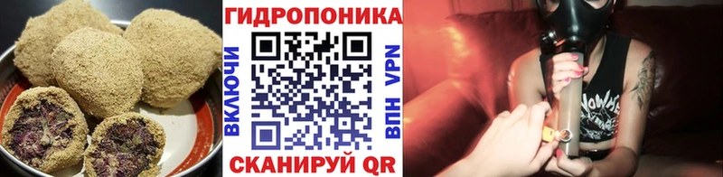 Canna-Cookies конопля  где купить наркоту  Чкаловск 