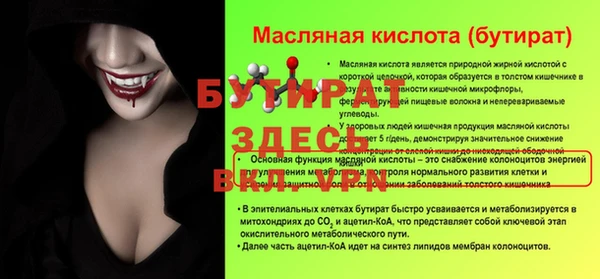 сатива Белокуриха