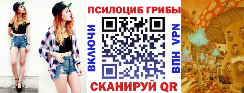 наркошоп  Чкаловск  Галлюциногенные грибы Psilocybine cubensis 